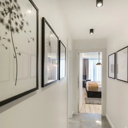 Classy Design 4* Ζαντάρ