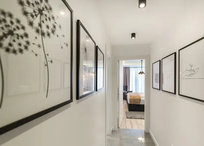 Classy Design 4* زادار